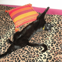 Etirements sur mon lit préféré !