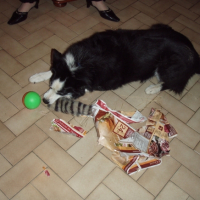Photo #215986 de Prune