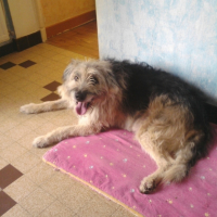 Photo #216032 de Tekila