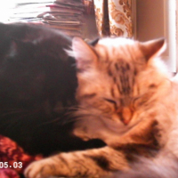 Photo #216134 de Jules
