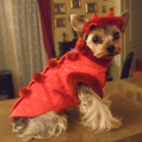 aladin_034