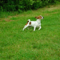 Photo #216456 de Smarties