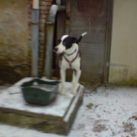 Photo #216658 de Snoop