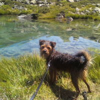 Photo #216716 de Choocolat
