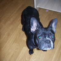 Photo #216850 de Nohan