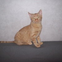 Photo #216853 de Burn-e