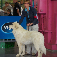 Photo #216871 de Hluca