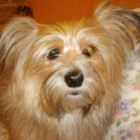 Photo #216878 de Candy