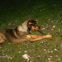 Photo #216940 de Diego