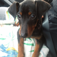 Photo #216992 de Eole