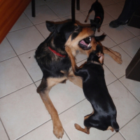 Photo #216993 de Eole