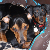 Photo #216994 de Eole