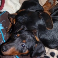 Photo #216995 de Eole