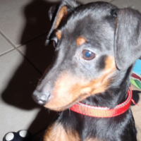 Photo #216996 de Eole