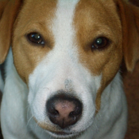 Photo #217065 de Théo