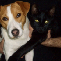 Photo #217085 de Minouchat