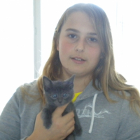 Photo #217129 de Pitou