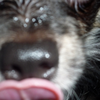 Photo #217131 de Victor