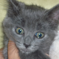 Photo #217133 de Victor