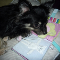 Photo #217144 de Victor