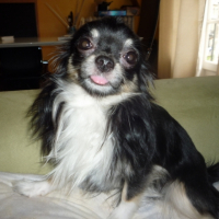 Photo #217147 de Victor
