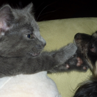 Photo #217151 de Victor