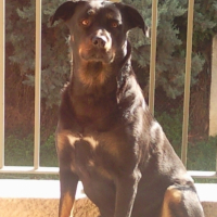 Photo #217156 de Payton