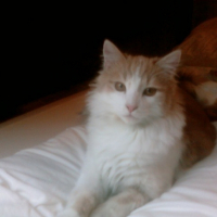 Photo #217197 de Ardy