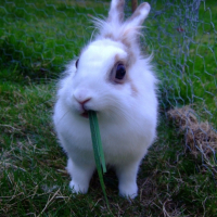 Photo #217254 de Pilouface