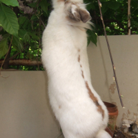Photo #217263 de Pilouface