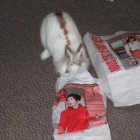 Photo #217267 de Pilouface