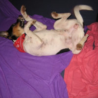 Photo #217292 de Juno