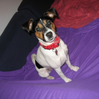 Photo #217293 de Juno