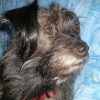 Photo3_001