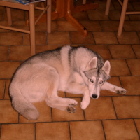Photo #217405 de Eliott