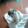 Photo20090919120259922