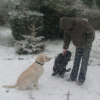 Popers et Nala avec mon frère dans le jardin sous la neige 