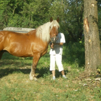 en pause de ballade