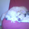 erika et sa soeur titi
