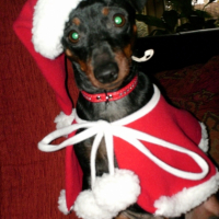 Photo #217591 de Elsy