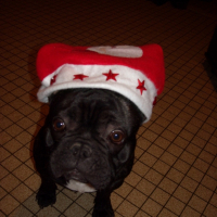 Photo #217608 de Duke