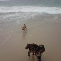 Photo #217657 de Lola