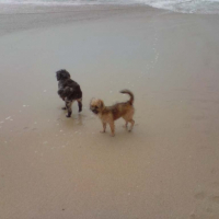Photo #217658 de Lola