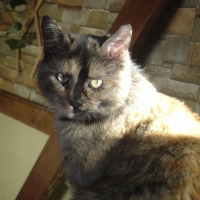 Photo #217678 de Lili
