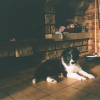 Photo #217744 de Garou