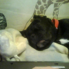 Picture0168