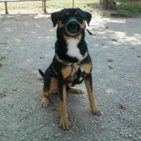 Photo #217769 de Kenzo