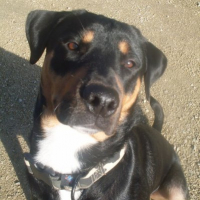 Photo #217770 de Kenzo