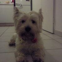 Photo #217774 de Bounty