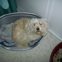 Photo #217834 de Lucky